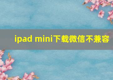 ipad mini下载微信不兼容